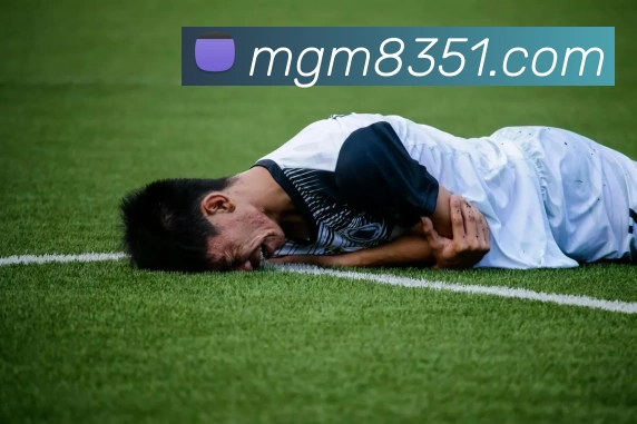 赛事专题整合